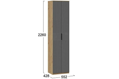Шкаф для одежды Хилтон Исп.2 (Дуб Крафт золотой/Графит матовый)
